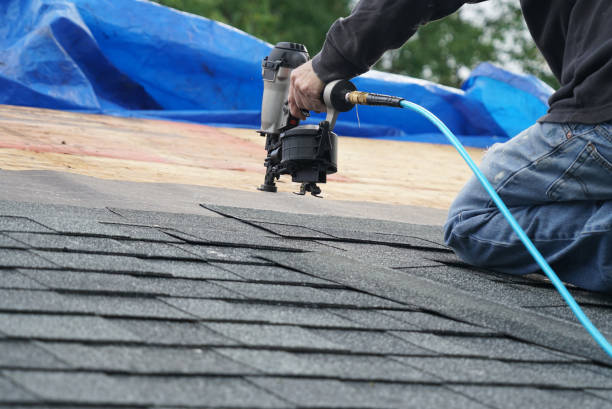 Best Roof Gutter Cleaning  in Lone Star, TX