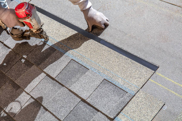 Best Metal Roofing Contractor  in Lone Star, TX